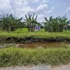 Tanah untuk dijual Perak