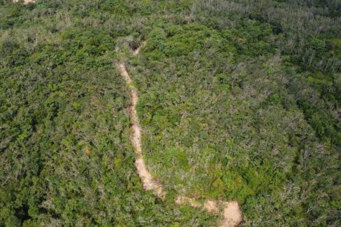 Tanah untuk dijual di Slim River