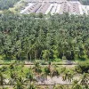 Tanah Pertanian 2 Ekar Untuk Dijual Di Larut & Matang