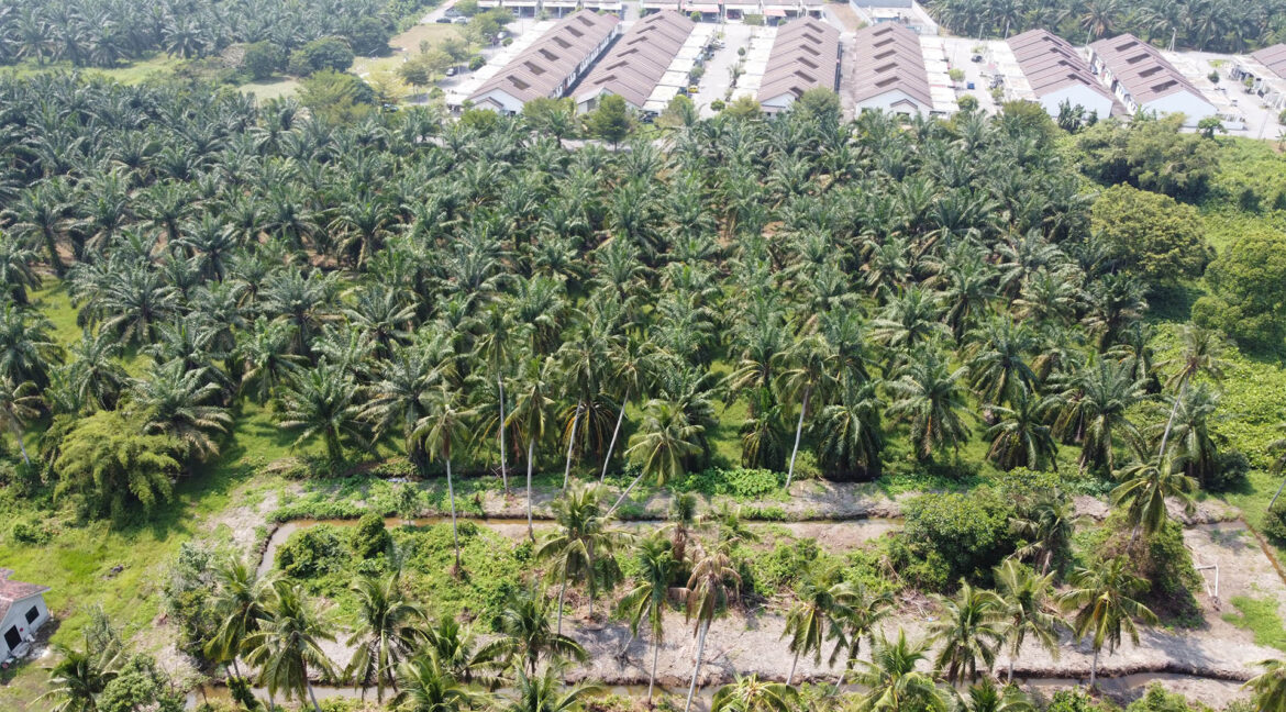 Tanah Pertanian 2 Ekar Untuk Dijual Di Larut & Matang