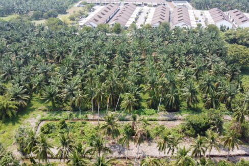 Tanah Pertanian 2 Ekar Untuk Dijual Di Larut & Matang