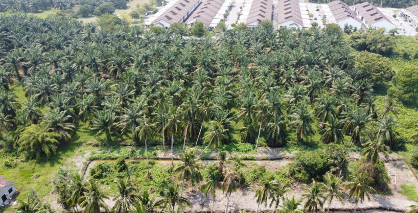 [SOLD] TANAH PERTANIAN 2 EKAR UNTUK DIJUAL DI LARUT & MATANG
