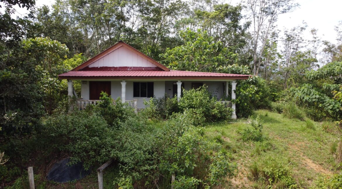 tamahuntukdijual-SungaiSiput--0003