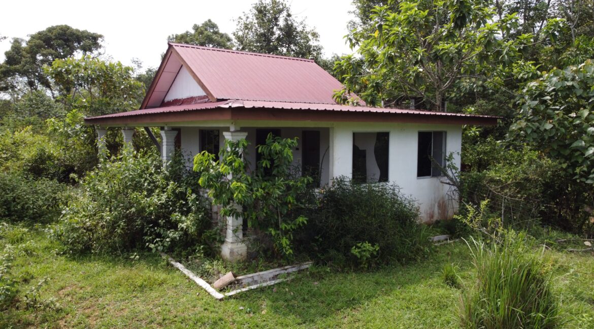 tamahuntukdijual-SungaiSiput--0005