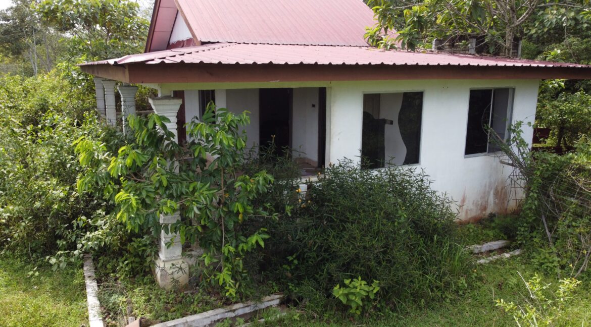 tamahuntukdijual-SungaiSiput--0006