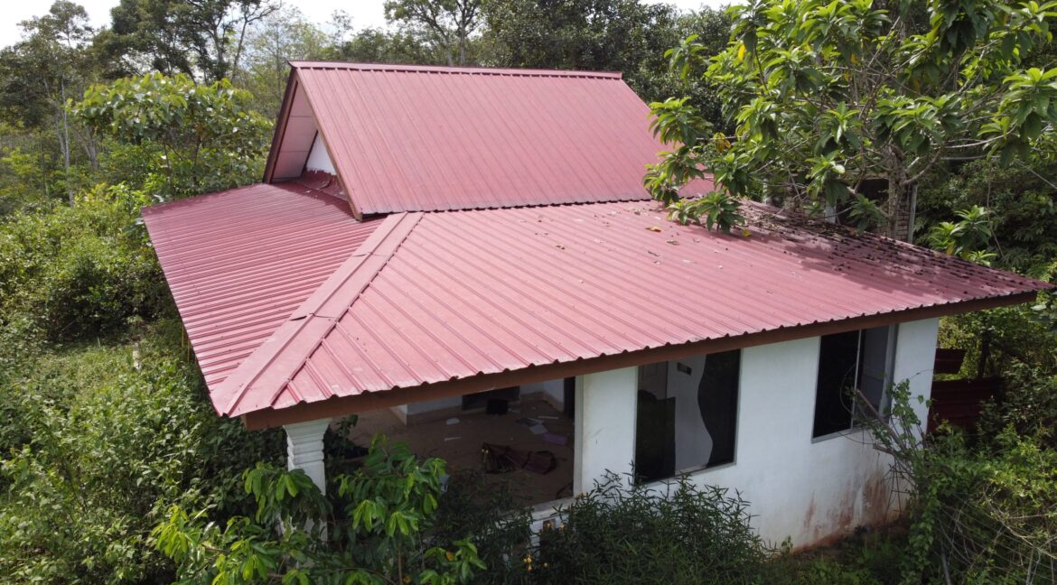tamahuntukdijual-SungaiSiput--0007