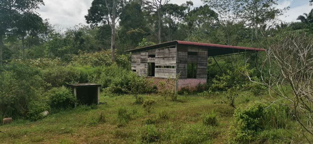 tamahuntukdijual-SungaiSiput--0011