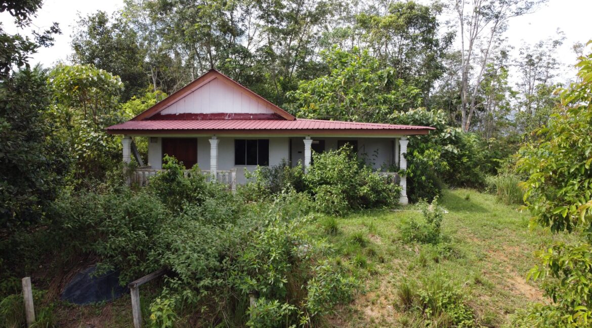 tamahuntukdijual-SungaiSiput--0012