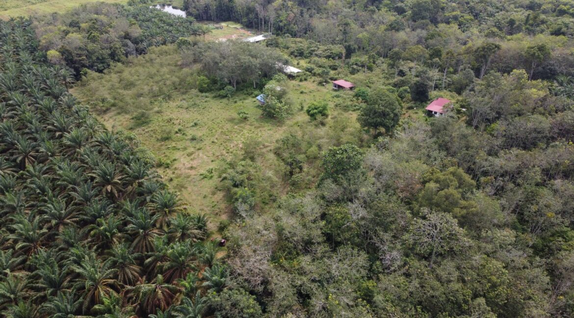 tamahuntukdijual-SungaiSiput--0020