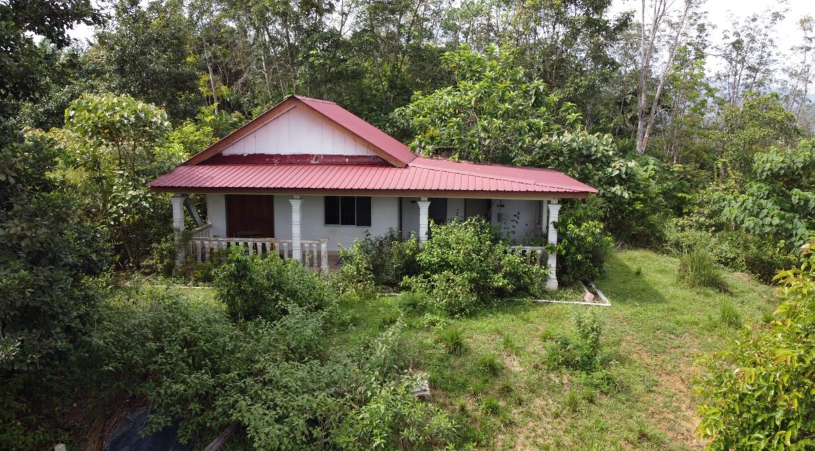 tamahuntukdijual-SungaiSiput--0021