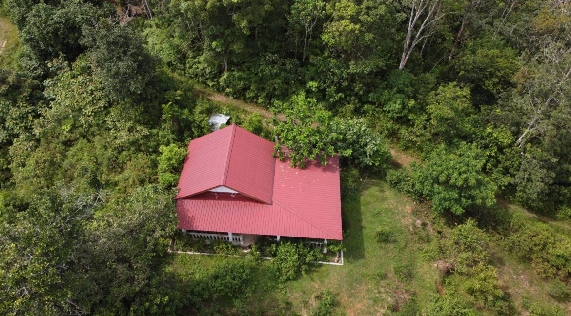 tamahuntukdijual-SungaiSiput--0022