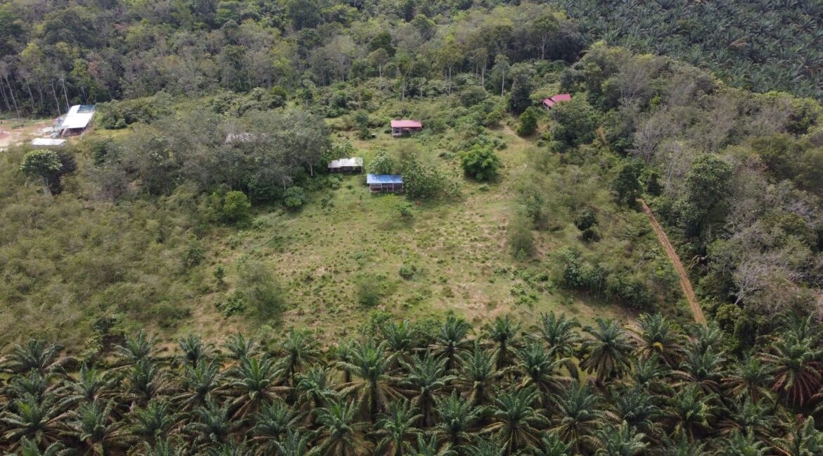 tamahuntukdijual-SungaiSiput--0023