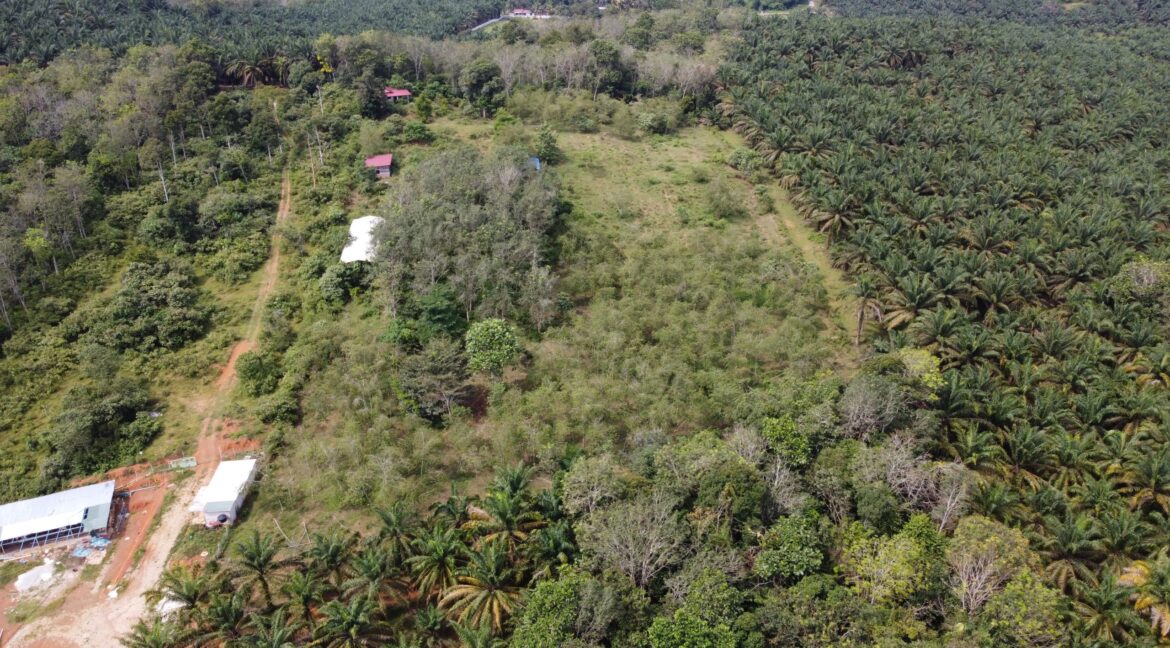 tamahuntukdijual-SungaiSiput--0025