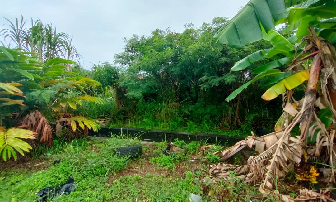 tanahcornerlot-untukdijual-pengkalan-ipoh-02