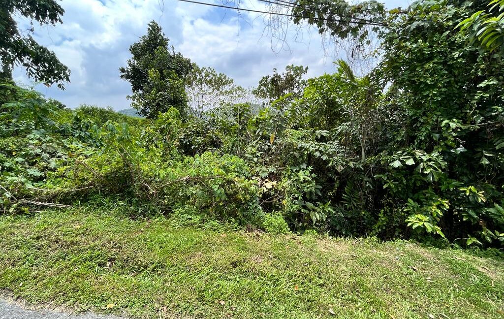 tanahuntukdijual-ipoh-ejenhartanahperak-04