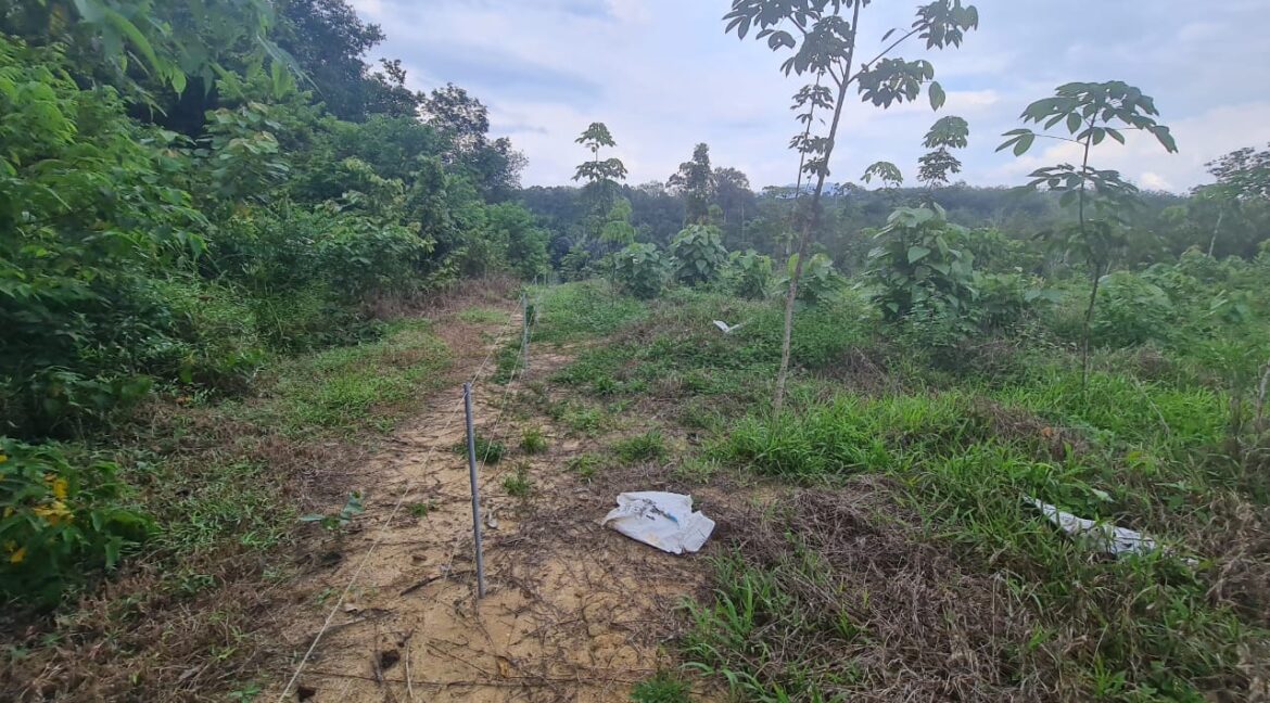 tanahuntukdijual-sungaisiput-hartanahdiperak-01