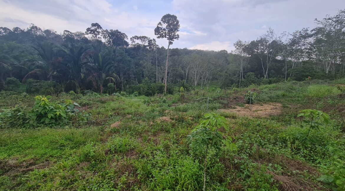 tanahuntukdijual-sungaisiput-hartanahdiperak-08