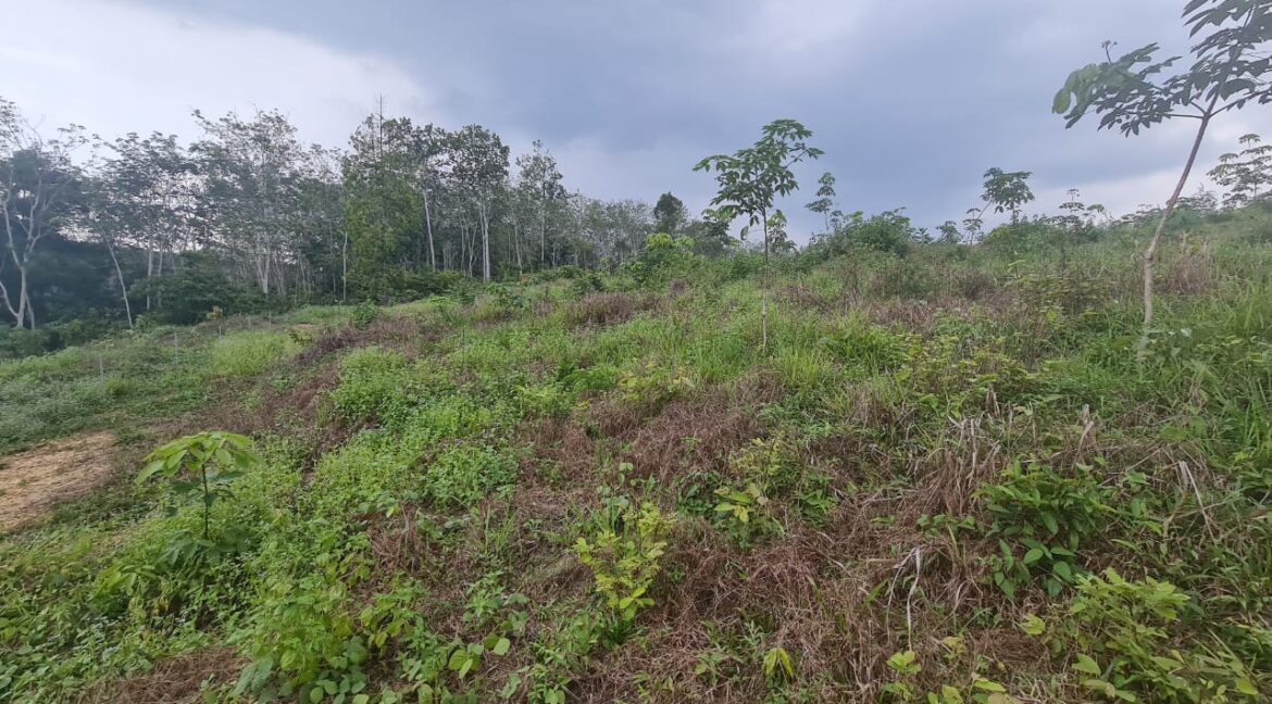 tanahuntukdijual-sungaisiput-hartanahdiperak-09