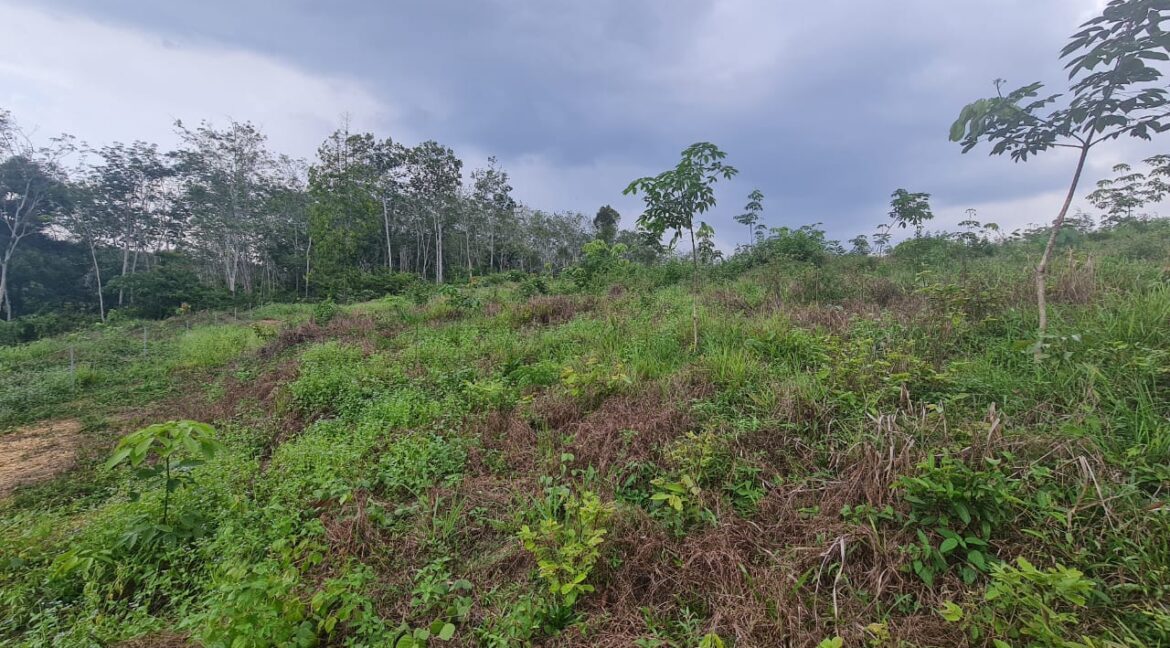 tanahuntukdijual-sungaisiput-hartanahdiperak-10
