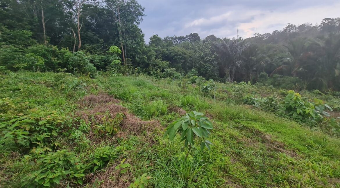 tanahuntukdijual-sungaisiput-hartanahdiperak-11