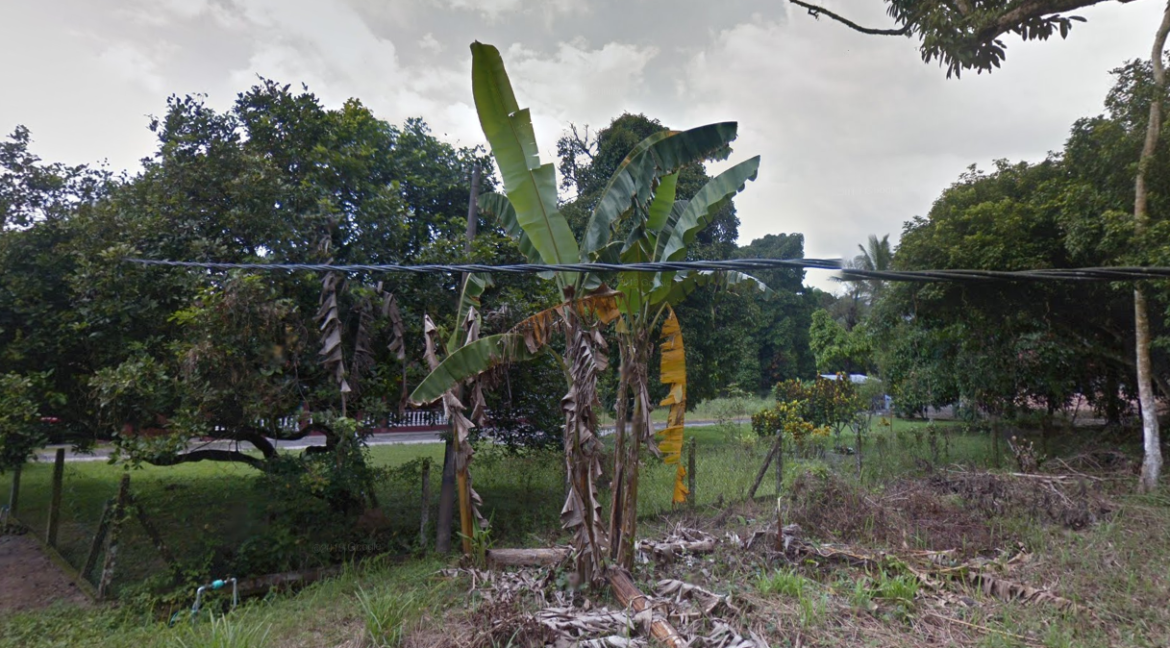 Tanah Pertanian Untuk Dijual Di Pengkalan Aur, Taiping