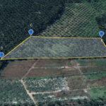 Tanah Pertanian Untuk Dijual di Langkap, Sitiawan.