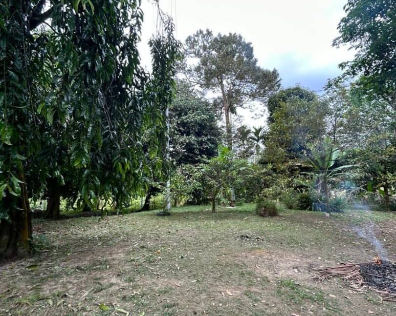 tanahkebundurian-rumah-batukurau-utkdijual-02