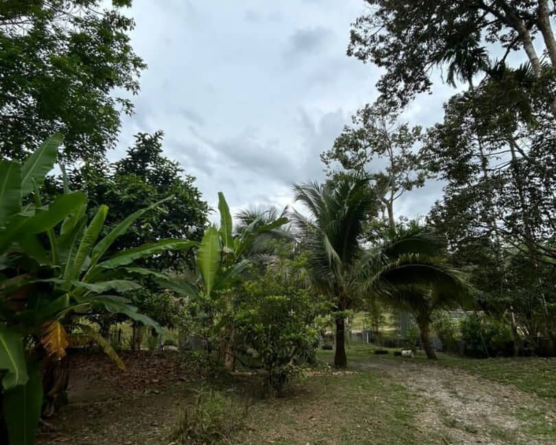 tanahkebundurian-rumah-batukurau-utkdijual-07