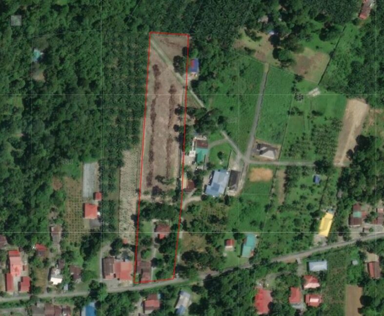 tanahpertanian-untukdijual-pengkalanaur-taiping-01