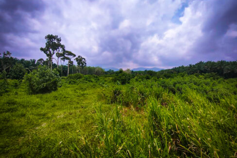 Tanah Lot Besar untuk dijual di Kampung Jana Baru, Kamunting