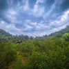 Tanah Pertanian Ada Anak Sungai untuk dijual di Tapah