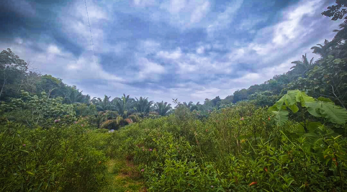 Tanah Pertanian Ada Anak Sungai untuk dijual di Tapah