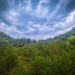 Tanah Pertanian Ada Anak Sungai untuk dijual di Tapah