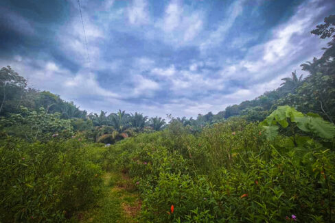 Tanah Pertanian Ada Anak Sungai untuk dijual di Tapah