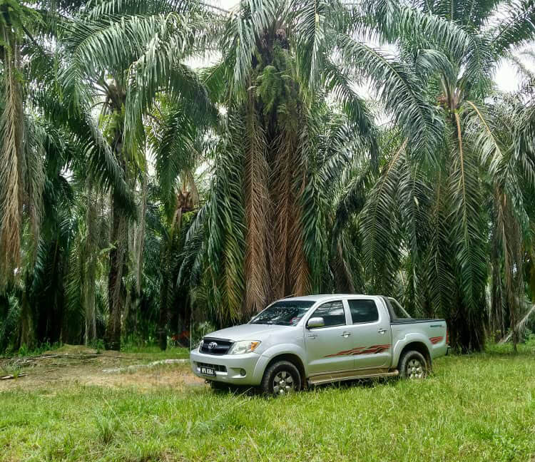 tanahpertanianutnukdijual-parit-perak-06