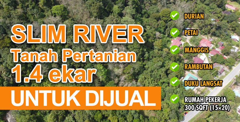 [SOLD] TANAH PERTANIAN UNTUK DIJUAL DI KAMPUNG PASIR, SLIM RIVER