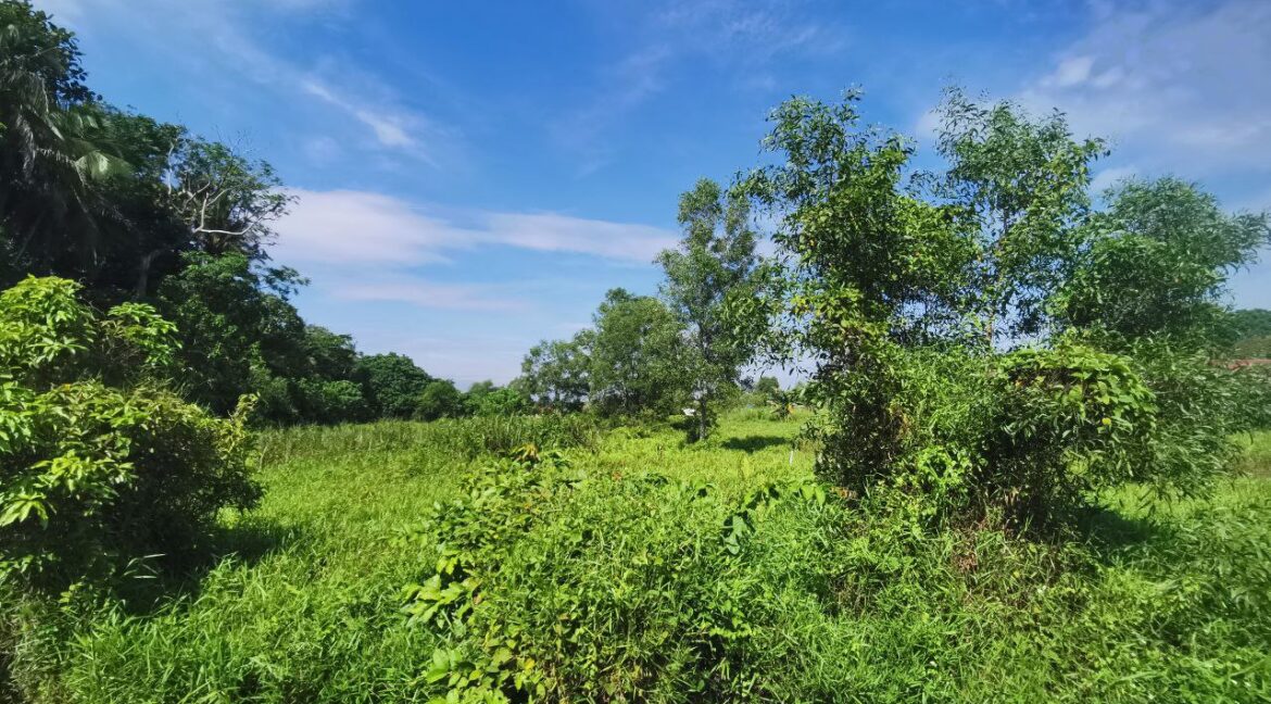 tanah-lot-untuk-dijual-malim-nawar-08