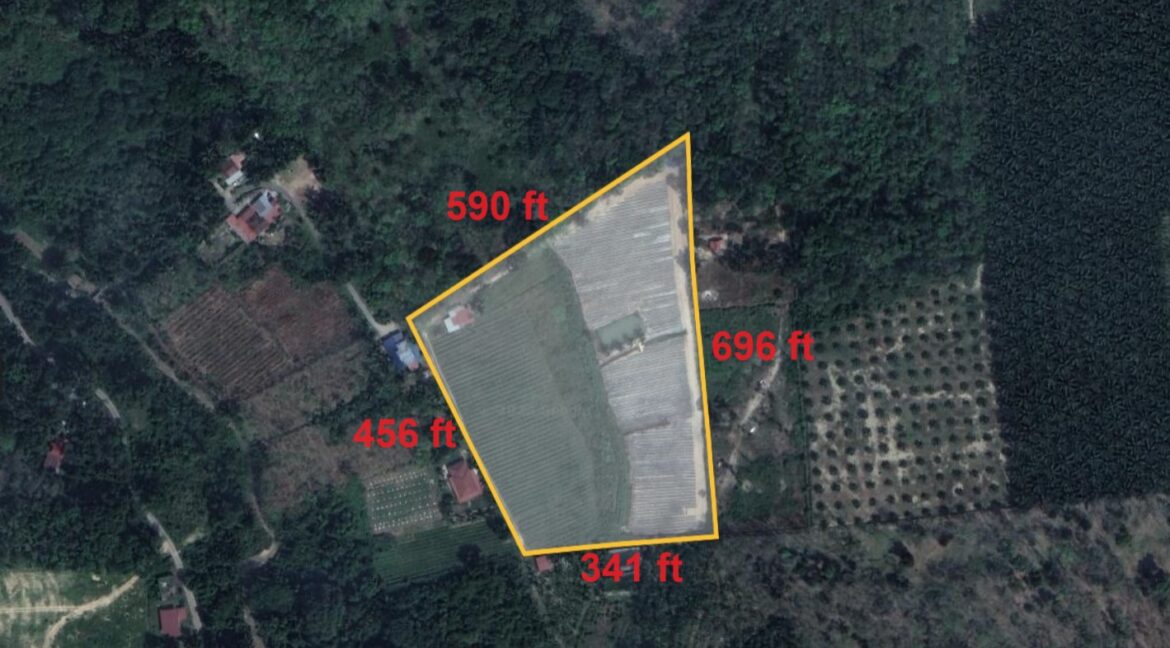 Tanah Pertanian Nanas untuk dijual di Jerlun, Kuala Kangsar