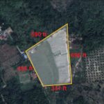 Tanah Pertanian Nanas untuk dijual di Jerlun, Kuala Kangsar