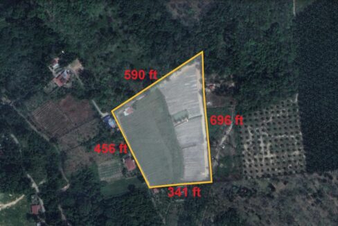 Tanah Pertanian Nanas untuk dijual di Jerlun, Kuala Kangsar