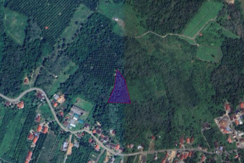 Tanah Pertanian Untuk Dijual Di Temelong, Hulu Perak