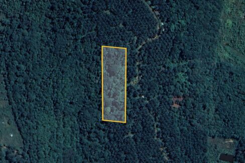 Tanah Pertanian untuk dijual di Ulu Bernam, Selangor