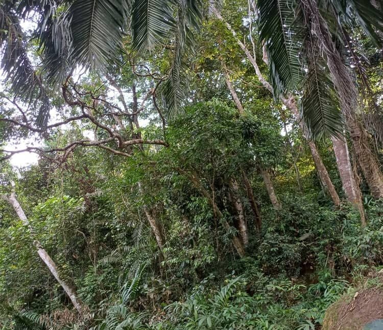 tanahpertanian-untukdijual-sungaiselisik-ulubernam-02