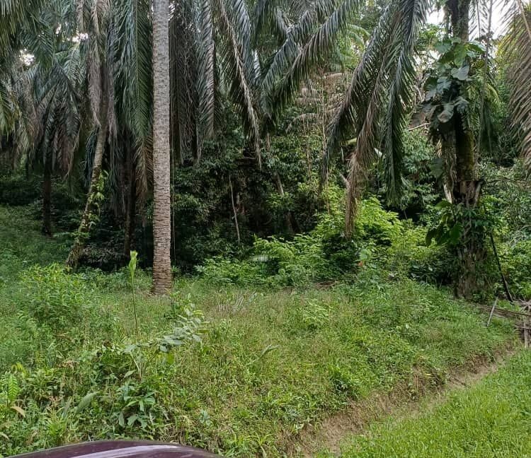 tanahpertanian-untukdijual-sungaiselisik-ulubernam-03