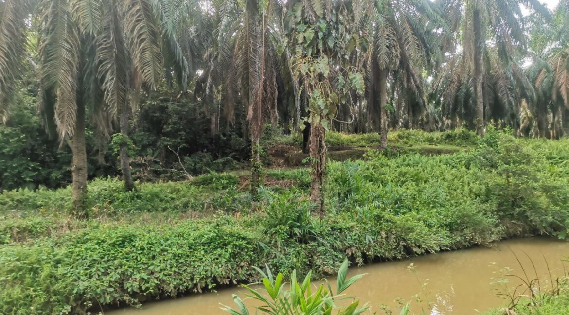 tanahpertanian-untukdijual-sungaiselisik-ulubernam-05