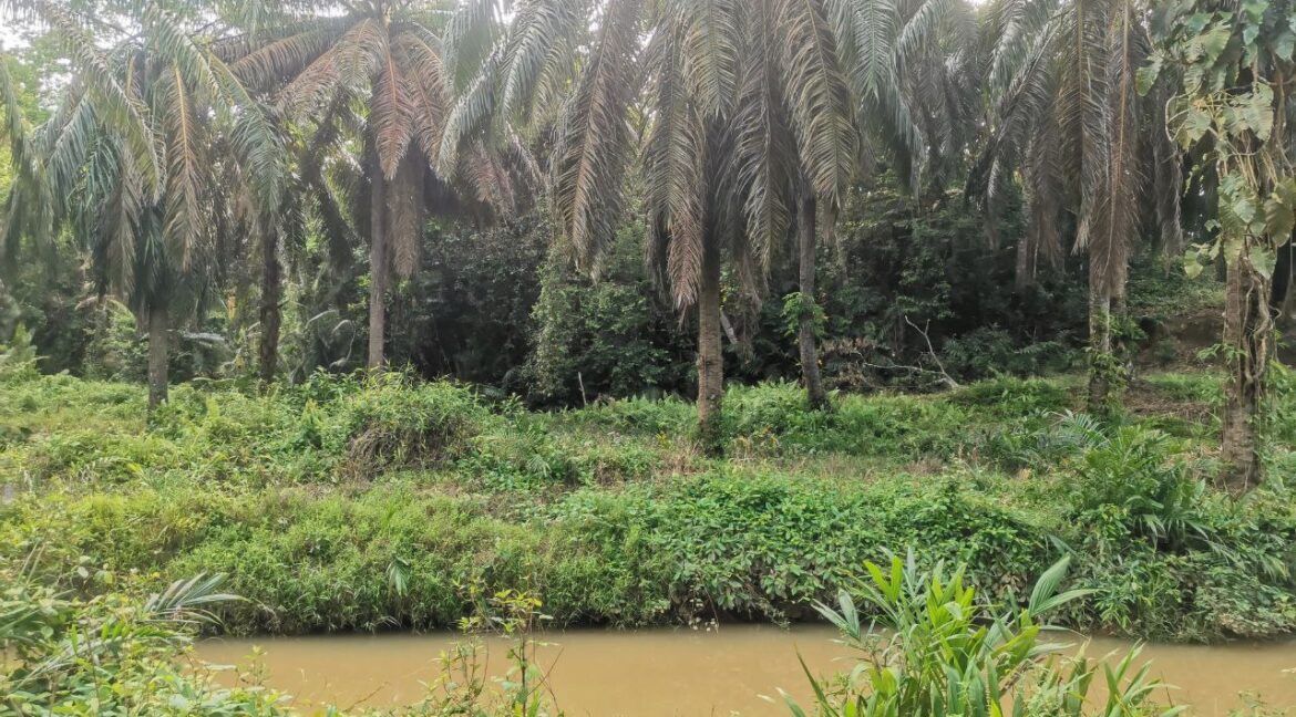 tanahpertanian-untukdijual-sungaiselisik-ulubernam-07