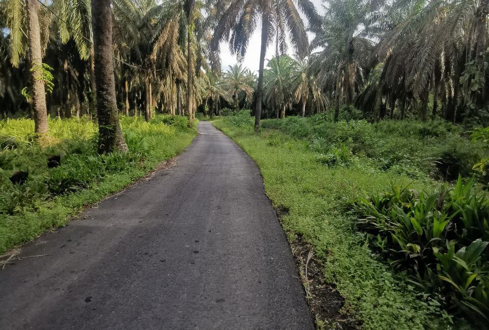 tanahpertanian-untukdijual-sungaiselisik-ulubernam-08