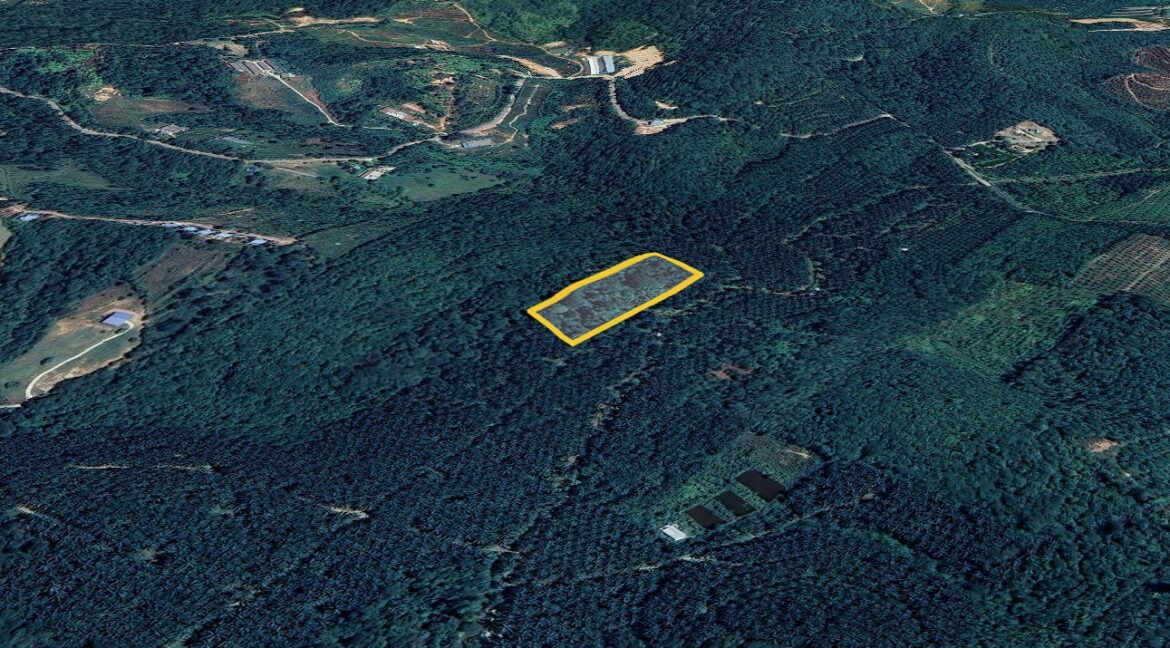 tanahpertanian-untukdijual-sungaiselisik-ulubernam-11