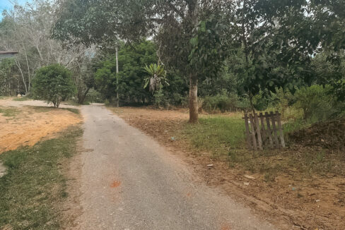 Tanah Getah Untuk Dijual Di Kampung Temin, Sungai Siput