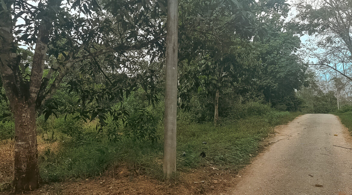 tanah-getah-untuk-dijual-kampung-temin-sungai-siput-02